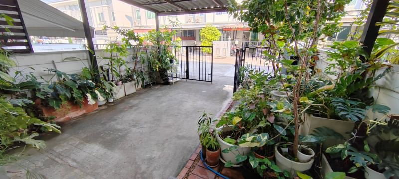 รูป ขาย ทาวน์โฮม 2 ชั้น กัสโต้ เพชรเกษม-ทวีวัฒนา 81/323 - รูปที่ 10/12