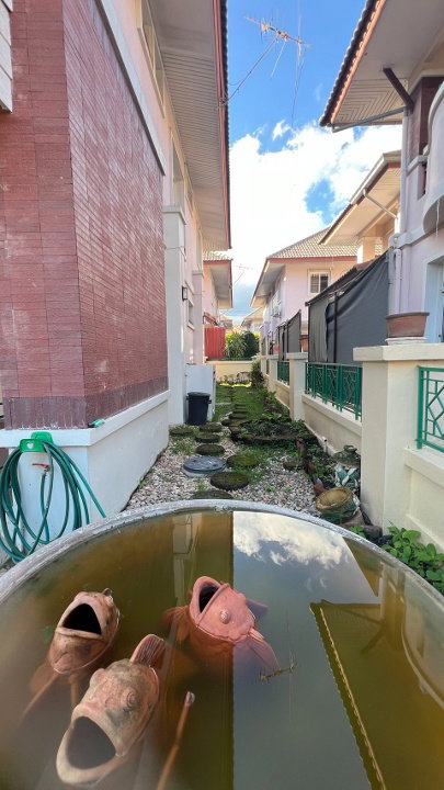 รูป ให้เช่า บ้านเดี่ยว ในโครงการดี โซนสันกำแพง เชียงใหม่ - RW004989 - รูปที่ 27/27