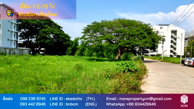 Land for sale U.S. Consulate General Chiang mai : Land for sale behind Chiang Mai Rajabhat University, 7 rai 78 sq wah. (ID:240LS)