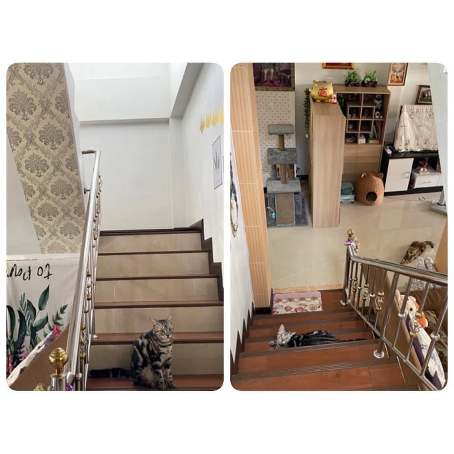 picture Urgent house for sale, self-built house - 6/10