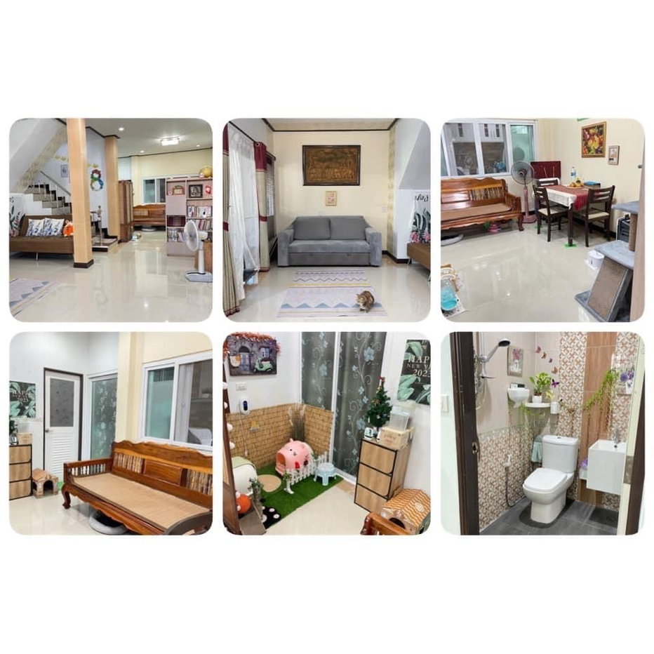 picture Urgent house for sale, self-built house - 3/10