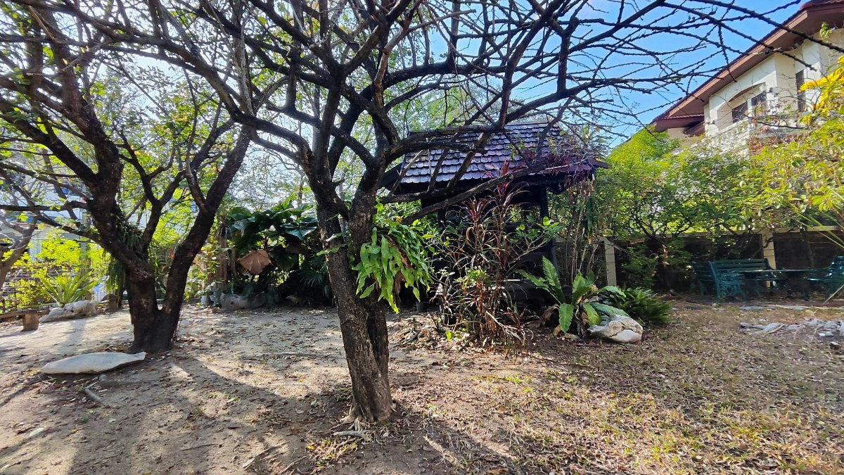 picture 📣📣Urgent sale,house, Latdawan Srinakarin, 167 sq.w. 💕💕 - 25/26