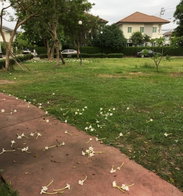 รูป PRUKSA VILLAGE THE SEASON ROMKLAO - LADKRABANG - รูปที่ 4/8
