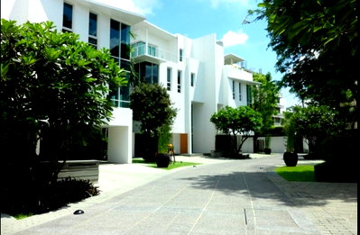Houses for sale Big C Extra Rama 4 : LTHC10819– House for sale The Trees Sathorn size 429 Sq.m. 4 bed 5 bath Near MRT Khlong Toei ONLY 60MB