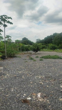 ขายที่ดินพัฒนาการ 30 เนื้อที่ 125 ตร.ว ขายถูก ซอยหมู่บ้านปัญญา ทำเลดี ไม่ลึก ไปทองหล่อ เอกมัย ทางด่วนพระราม 9 ใกล้สนามบินสุวรรณภูมิ 087-9074045