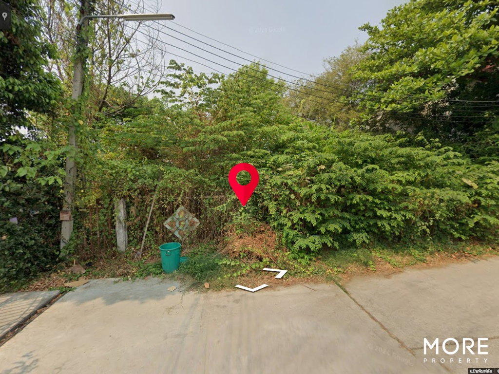 รูป ขายที่ดิน ป่าตัน เชียงใหม่ 2 งาน 12 ตร.ว. (ID:246LS) - รูปที่ 11/11
