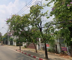 รูป Supawong Village - รูปที่ 2/4