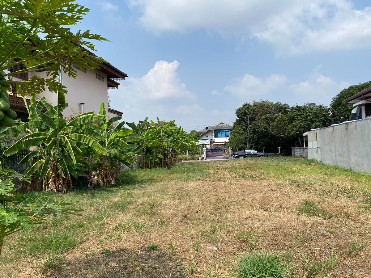 รูป ขายที่ดินเปล่า 2 แปลงติดกัน เหมาะสำหรับ สร้างบ้าน คลอง 5 รังสิต ธัญบุรี ปทุมธานี ในหมู่บ้านปรารถนา คันทรีโฮม - รูปที่ 4/7