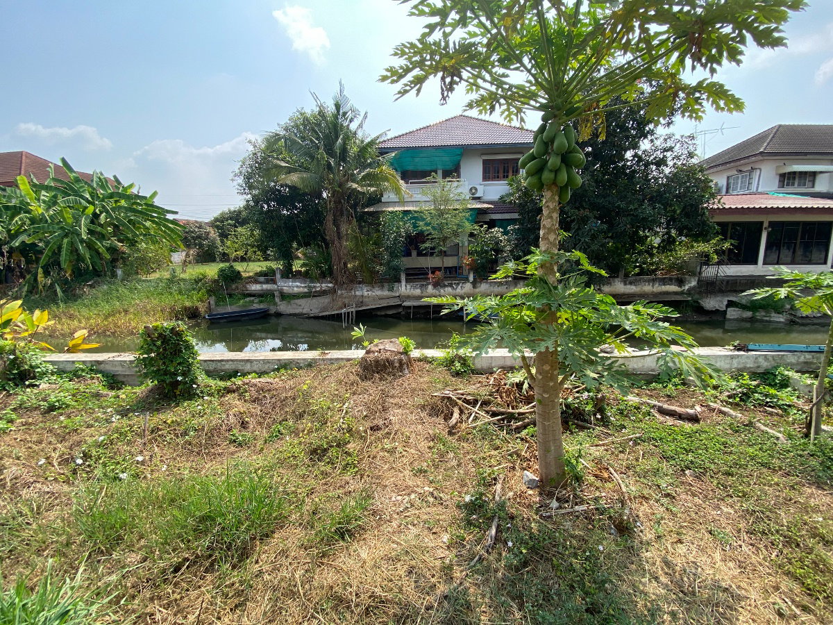 รูป ขายที่ดินเปล่า 2 แปลงติดกัน เหมาะสำหรับ สร้างบ้าน คลอง 5 รังสิต ธัญบุรี ปทุมธานี ในหมู่บ้านปรารถนา คันทรีโฮม - รูปที่ 5/7