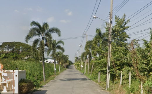 รูป Narinya - รูปที่ 2/2