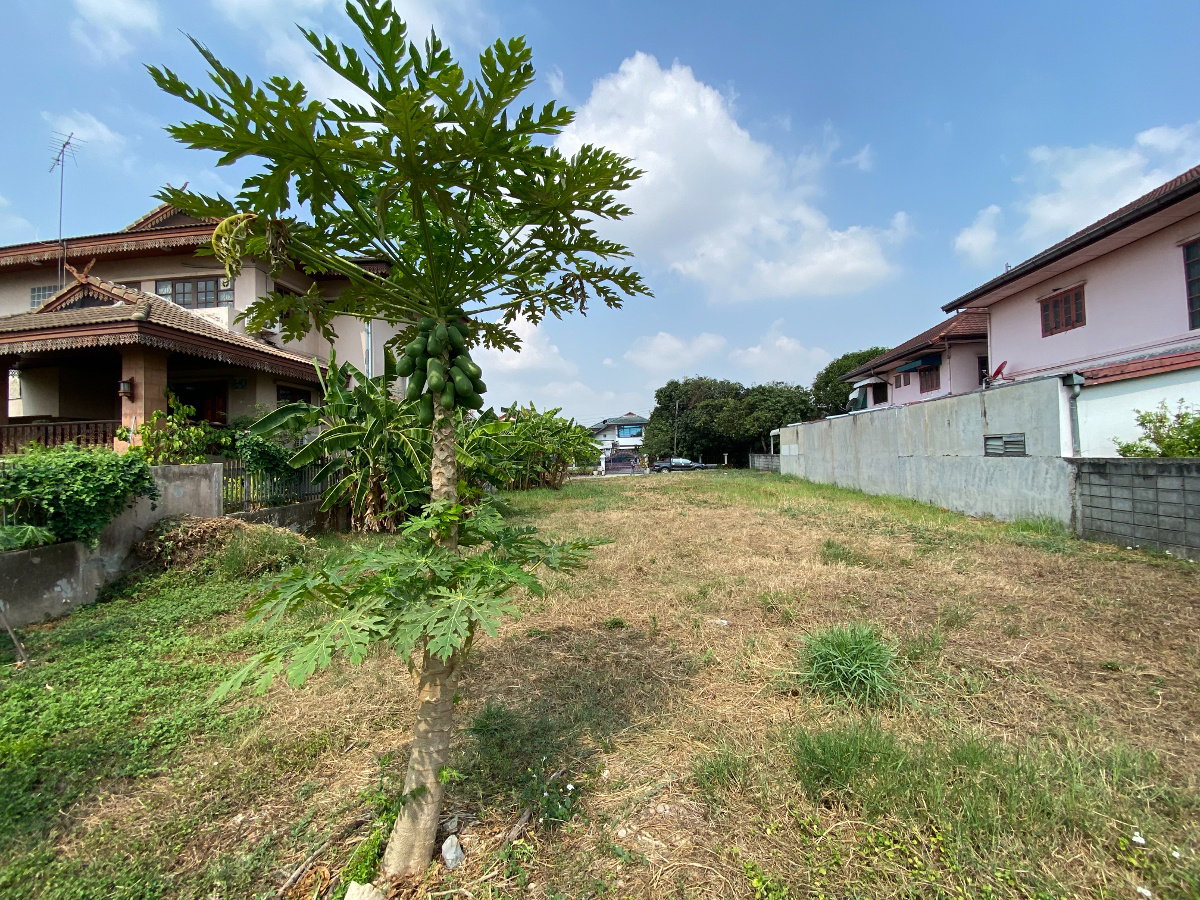 รูป ขายที่ดินเปล่า 2 แปลงติดกัน เหมาะสำหรับ สร้างบ้าน คลอง 5 รังสิต ธัญบุรี ปทุมธานี ในหมู่บ้านปรารถนา คันทรีโฮม - รูปที่ 6/7