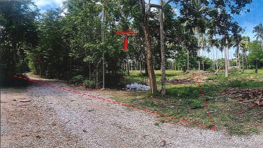 รูป ขายที่ดินเปล่า 14 ไร่ 3 งาน 11 ตร.ว. ต.ธงชัย อ.บางสะพาน จ.ประจวบคีรีขันธ์ - รูปที่ 7/10