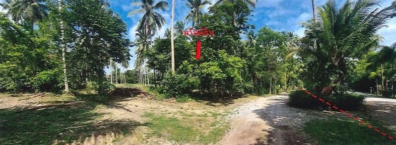 รูป ขายที่ดินเปล่า 14 ไร่ 3 งาน 11 ตร.ว. ต.ธงชัย อ.บางสะพาน จ.ประจวบคีรีขันธ์ - รูปที่ 6/10