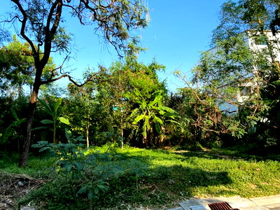 ที่ดิน วิทยาลัยเซาธ์อีสท์บางกอก : ขายที่ดินสุขุมวิท 60-121 ตร.ว วชิรธรรมสาธิต อุดมสุข แปลงสวย สภาพแวดล้อมดี ใกล้ BTS ปุณณวิถี ใกล้ซีคอน เซ็นทรัลบางนา sukhumvit land sale 087-9074045