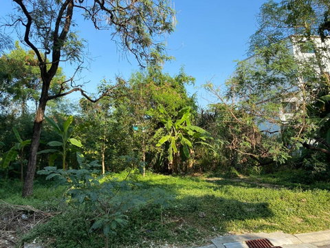 ขายที่ดินสุขุมวิท 60-121 ตร.ว วชิรธรรมสาธิต อุดมสุข แปลงสวย สภาพแวดล้อมดี ใกล้ BTS ปุณณวิถี ใกล้ซีคอน เซ็นทรัลบางนา sukhumvit land sale 087-9074045