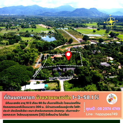 บ้านเดี่ยว เมืองนครนายก นครนายก : 💰 ที่ดินพร้อมบ้านสวนมะยงชิด นครนายก 1-3-58.1 ไร่ ติดคลองหนองรี มะยงชิดอายุ 10 ปี เกือบ 60 ต้น เก็บผลผลิตขายทำเงินได้แล้ว