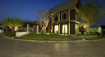 รูป Flora Marigold - รูปที่ 2/3