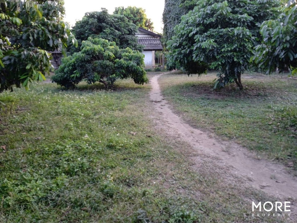 รูป ขายที่ดิน สารภี เชียงใหม่ 2 งาน 36 ตร.ว. (ID:248LS) - รูปที่ 9/13