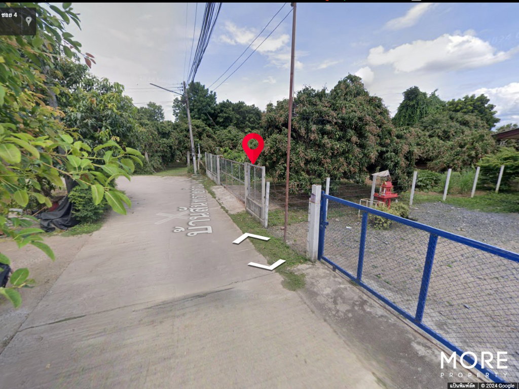 รูป ขายที่ดิน สารภี เชียงใหม่ 2 งาน 36 ตร.ว. (ID:248LS) - รูปที่ 13/13
