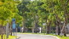 listing thumbnail image 16