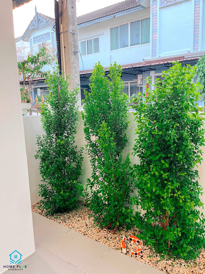 รูป เจ้าของขายเอง หมู่บ้านฟ้าปิยรมณ์ ลำลูกกาคลองหก ใกล้ ทางขึ้นลง ทางด่วนค่า - รูปที่ 4/11