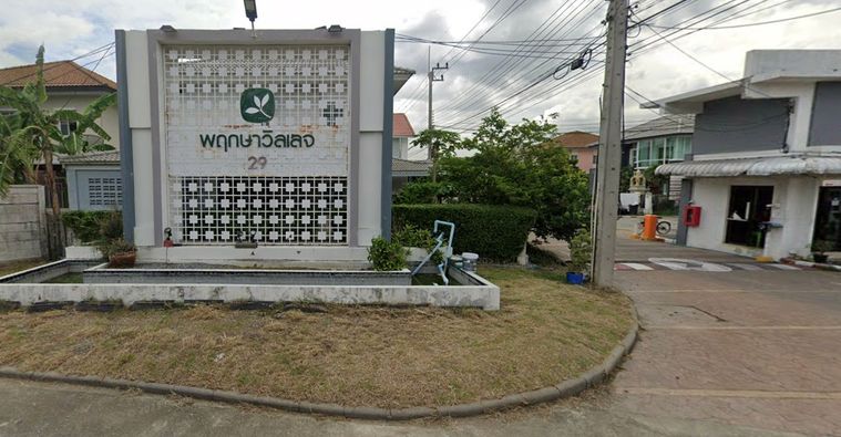 พฤกษา ​วิลเลจ​ ​29​