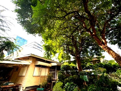 Shophouses for rent Bangkok : LTHC10983–Commercial /House for rent size 1120 Sq.m. ONLY 200k/month