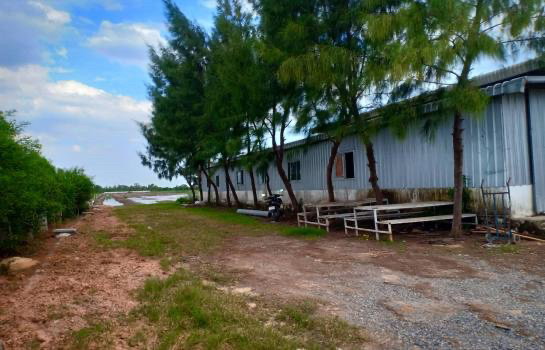 รูป ขายโรงงานเฟอร์นิเจอร์ เนื้อที่ 23 ไร่ เขต EEC ถนนสุวินทวงศ์ ต.คลองอุดมชลจร อ.เมืองฉะเชิงเทรา - รูปที่ 7/16