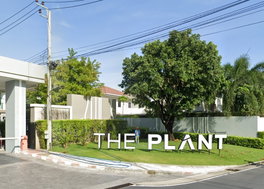รูป The Plant Pattanakarn - รูปที่ 2/10