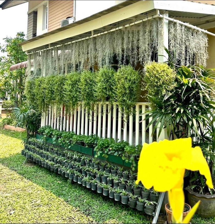 รูป ให้เช่า บ้านเดี่ยวในโครงการหรู ทำเลบนถนนมหิดล มีเฟอร์นิเจอร์&เครื่องใช้ไฟฟ้าครบพร้อมเข้าอยู่ - RW005279 - รูปที่ 5/17