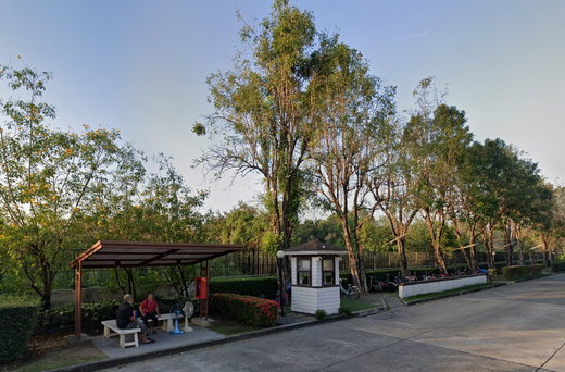 รูป CHAIYAPRUEK PETCHKASEM 81 - รูปที่ 3/6