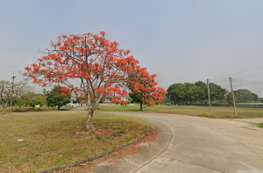 รูป Tharinporn villa  MaeRim - Chiang Mai - รูปที่ 3/6