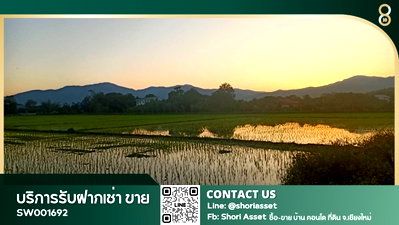 Land for sale Chiang Mai : Land for sale in Mae Rim Ready to transfer immediately (transfer fee and fees are half each), electricity passes, next to a public road. - SW001692