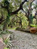 listing thumbnail image 57