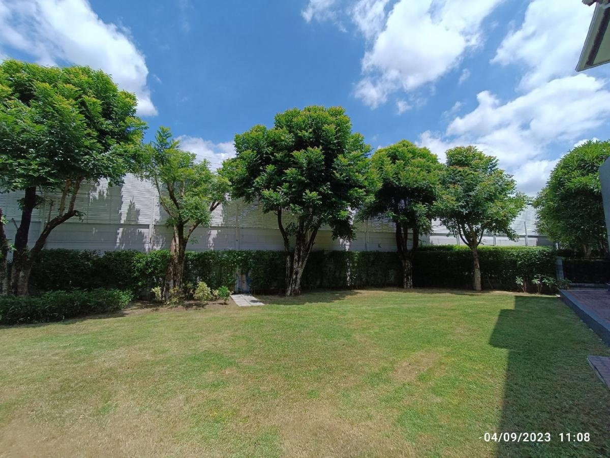รูป ให้เช่าบ้านเดี่ยว หมู่บ้าน เดอะซิตี้ บางนา กม.7 (ST-02) - รูปที่ 44/46