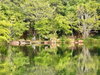 listing thumbnail image 50