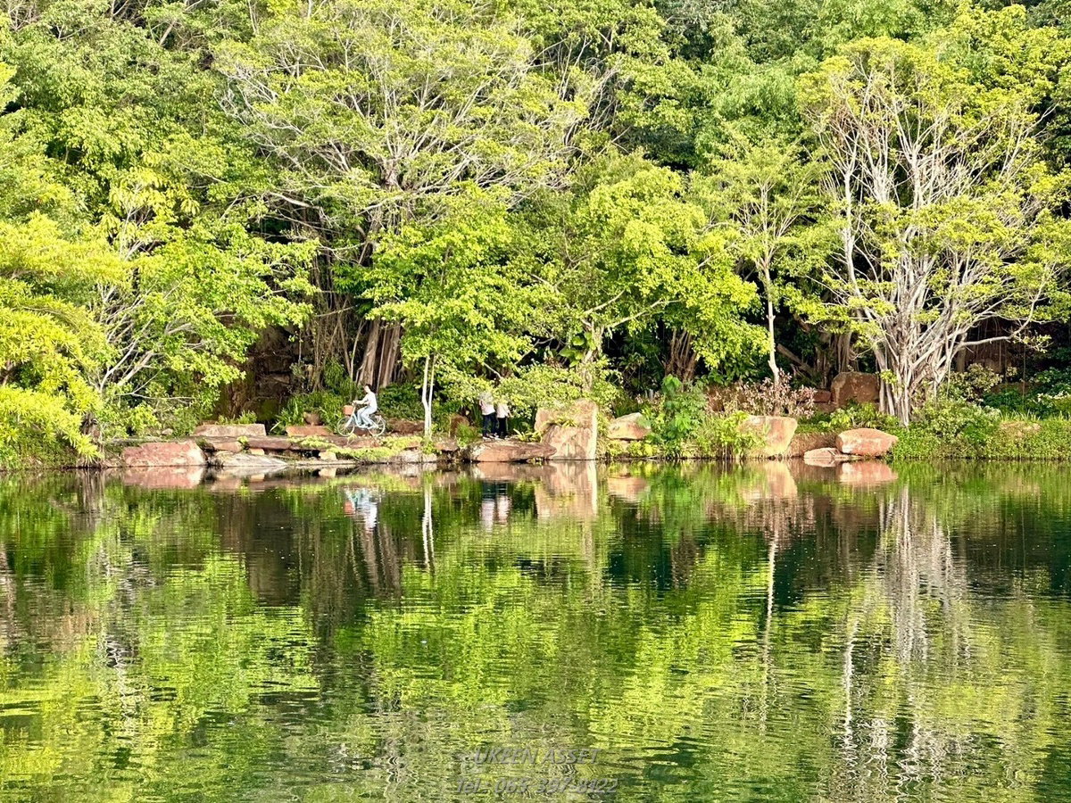 รูป ขายคอนโด Swan Lake Khaoyai : สวอน เลค เขาใหญ่ ปากช่อง นครราชสีมา_ 1 ห้องนอน 1 ห้องน้ำ 65 ตร.ม. - รูปที่ 51/78