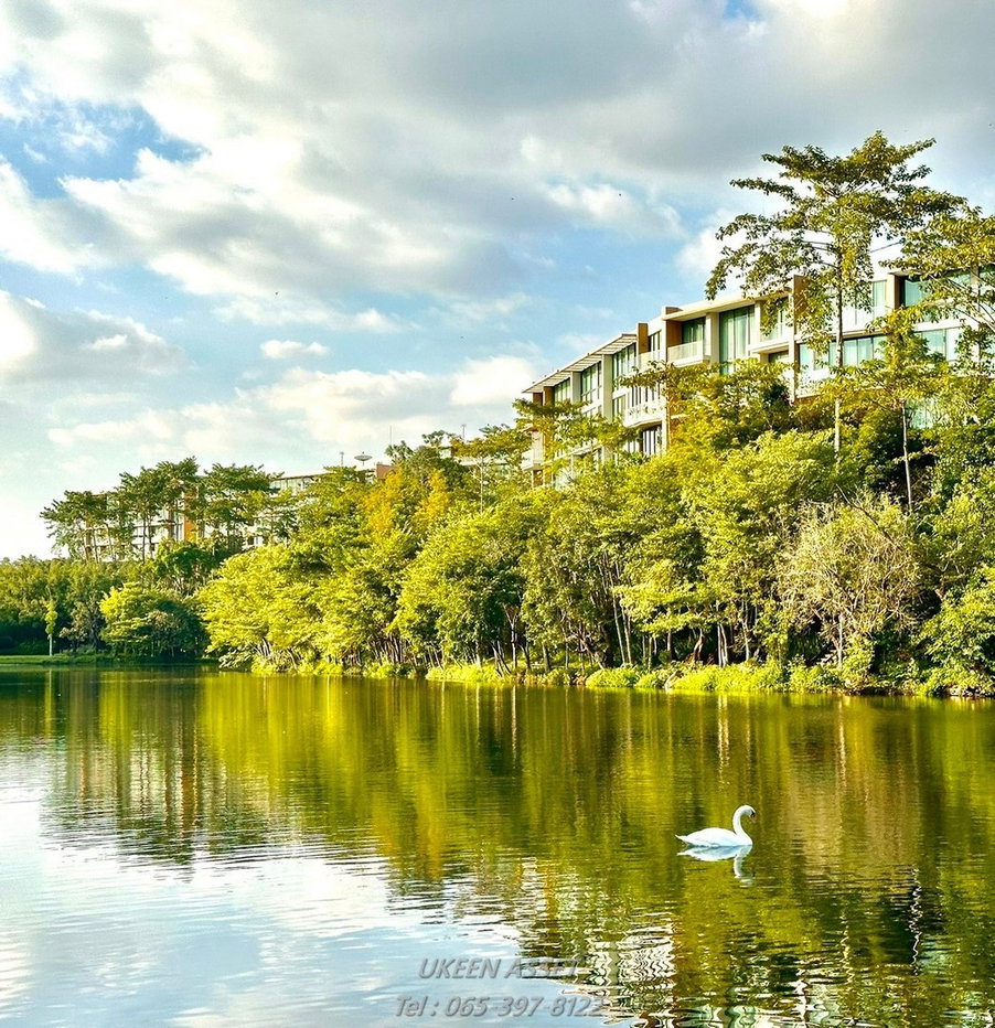 รูป ขายคอนโด Swan Lake Khaoyai : สวอน เลค เขาใหญ่ ปากช่อง นครราชสีมา_ 1 ห้องนอน 1 ห้องน้ำ 65 ตร.ม. - รูปที่ 49/78