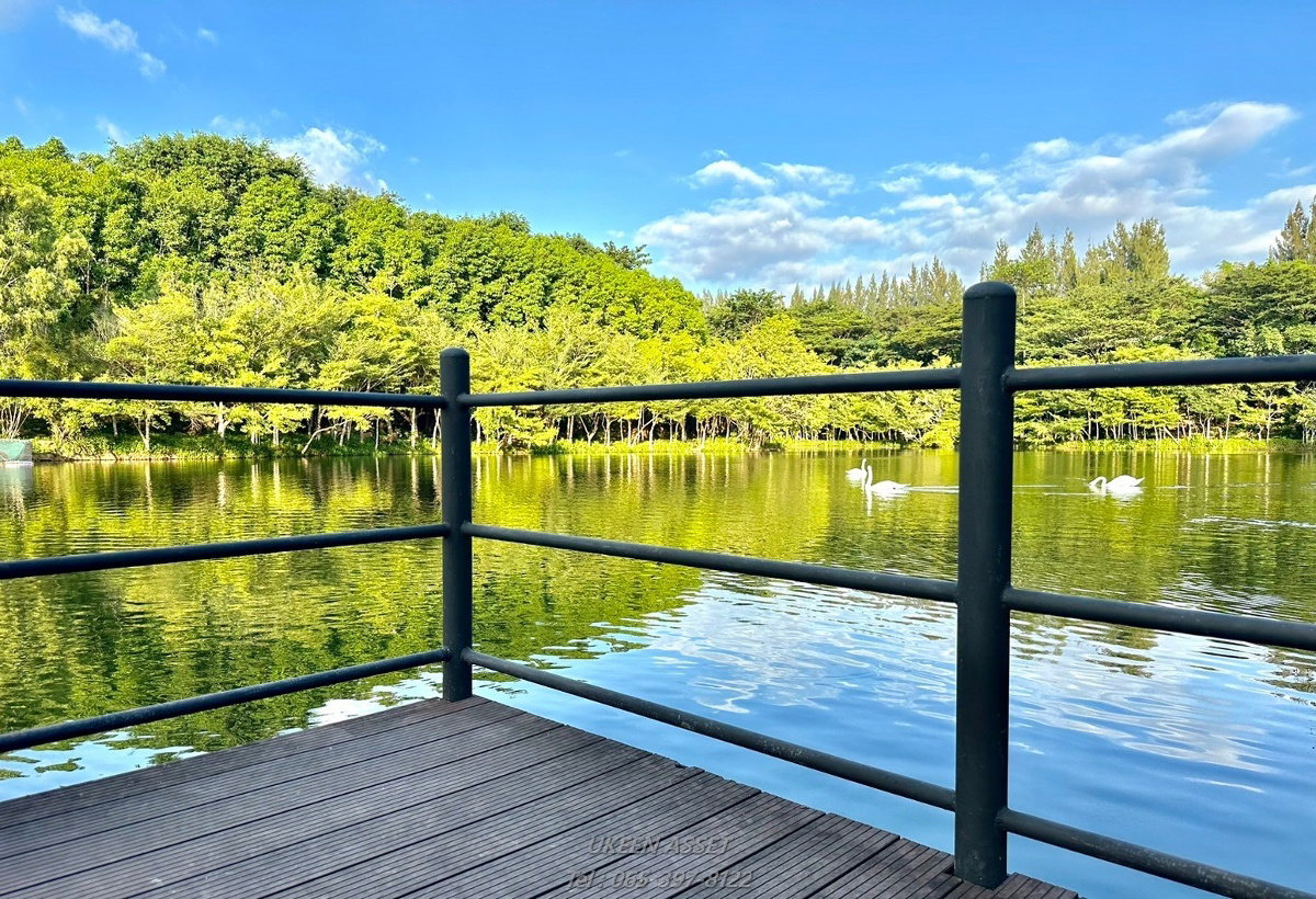 รูป ขายคอนโด Swan Lake Khaoyai : สวอน เลค เขาใหญ่ ปากช่อง นครราชสีมา_ 1 ห้องนอน 1 ห้องน้ำ 65 ตร.ม. - รูปที่ 53/78