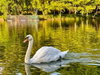 listing thumbnail image 53