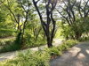 listing thumbnail image 62