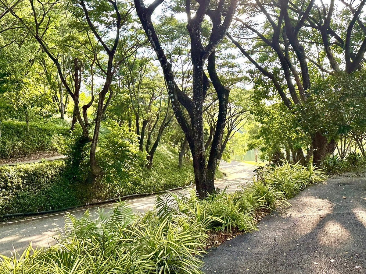 รูป ขายคอนโด Swan Lake Khaoyai : สวอน เลค เขาใหญ่ ปากช่อง นครราชสีมา_ 1 ห้องนอน 1 ห้องน้ำ 65 ตร.ม. - รูปที่ 63/78