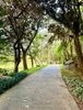 listing thumbnail image 56