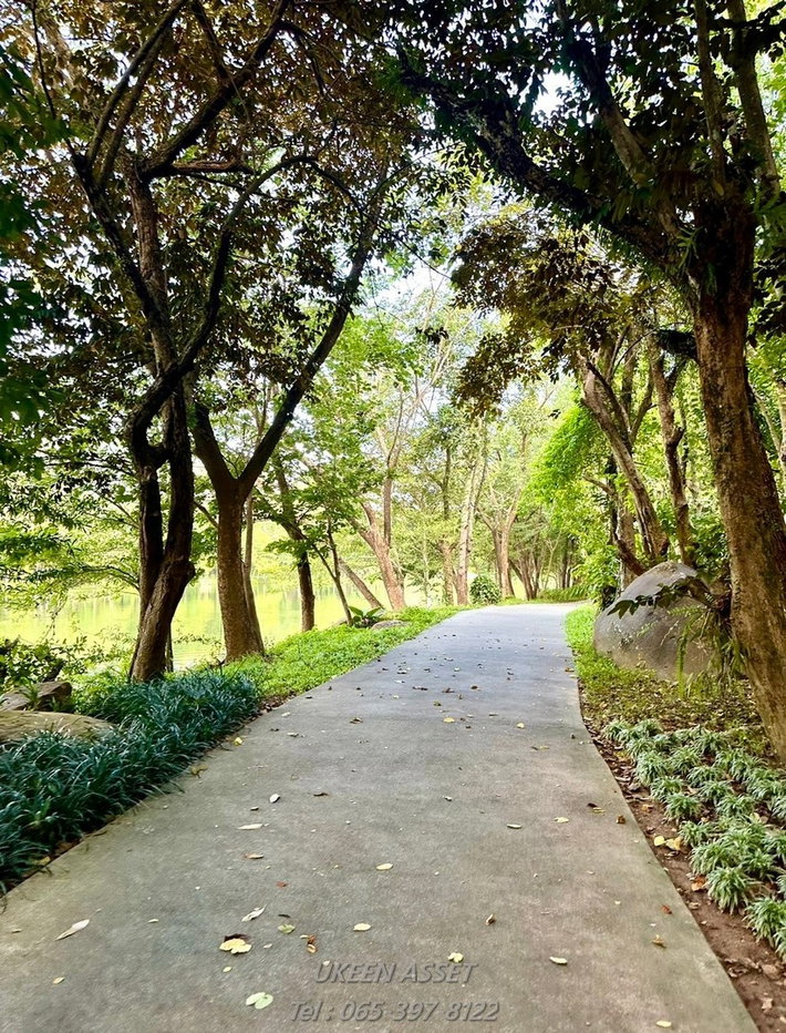 รูป ขายคอนโด Swan Lake Khaoyai : สวอน เลค เขาใหญ่ ปากช่อง นครราชสีมา_ 1 ห้องนอน 1 ห้องน้ำ 65 ตร.ม. - รูปที่ 57/78