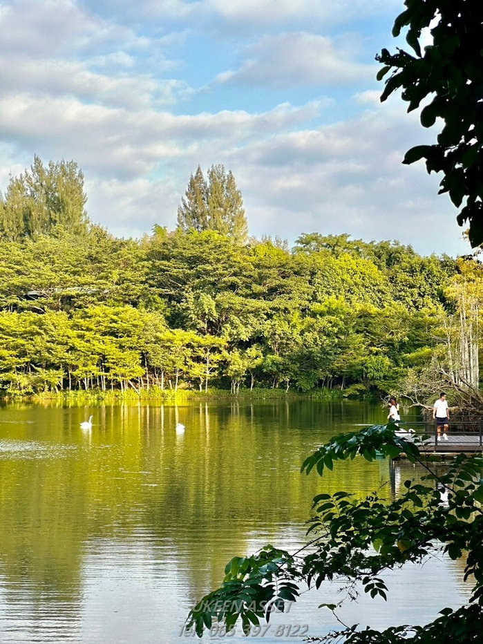 รูป ขายคอนโด Swan Lake Khaoyai : สวอน เลค เขาใหญ่ ปากช่อง นครราชสีมา_ 1 ห้องนอน 1 ห้องน้ำ 65 ตร.ม. - รูปที่ 52/78
