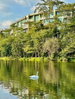 listing thumbnail image 49