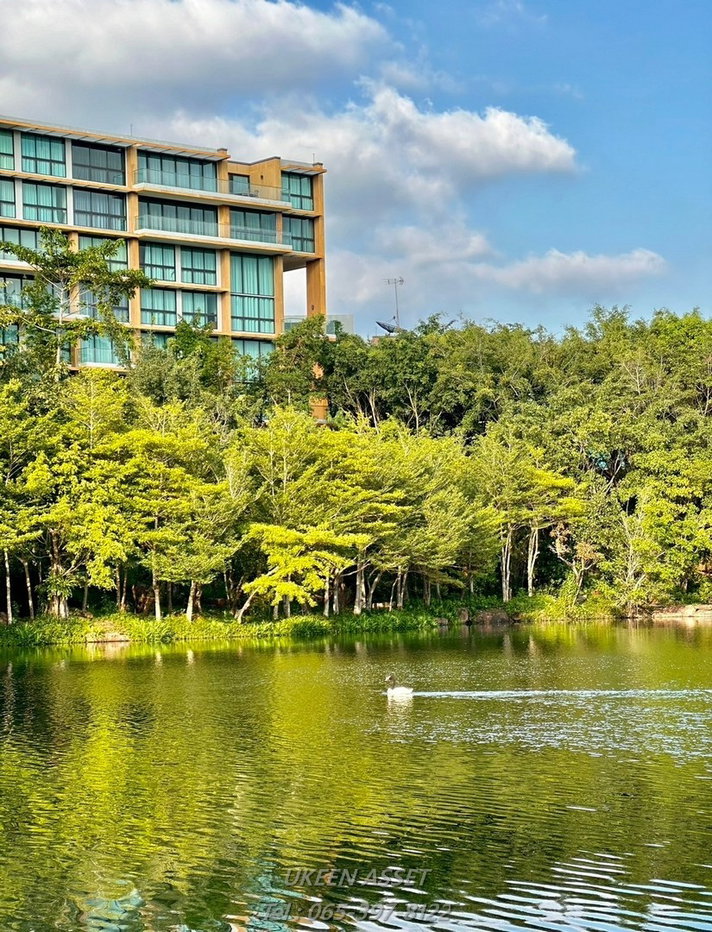 รูป ขายคอนโด Swan Lake Khaoyai : สวอน เลค เขาใหญ่ ปากช่อง นครราชสีมา_ 1 ห้องนอน 1 ห้องน้ำ 65 ตร.ม. - รูปที่ 48/78
