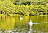 listing thumbnail image 59