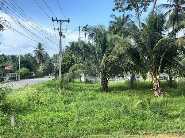 picture Land for sale 3++ rai, T.Thongchai, A.Bangsaphan, Prachuap Khiri Khan - 3/4