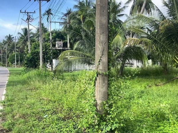 picture Land for sale 3++ rai, T.Thongchai, A.Bangsaphan, Prachuap Khiri Khan - 2/4